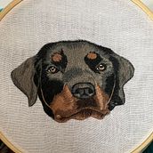 Mi proyecto del curso: Needle painting para principiantes. Un proyecto de Bordado, Ilustración naturalista				 y Diseño textil de Camila Cuadros Sundquist - 29.03.2024