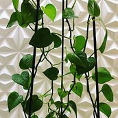 TN. Un proyecto de Diseño de interiores de alexis bacilio - 30.03.2024