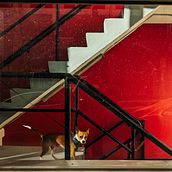 Essay: Daily life in Atlanta GA USA. Un projet de Photographie, Photographie extérieure, Photographie documentaire, Photographie lifest , et le de marcodezphoto - 30.03.2024