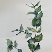 My project for course: Illustrating the Natural World with Watercolor and Charcoal. Traditional illustration, Painting, and Naturalistic Illustration project by Sylvia Thorp - 03.30.2024