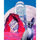 Gato Benito. Collage project by Miriam de los Reyes - 04.01.2024