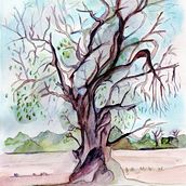 Mon projet du cours : Explorez des techniques de brossage à sec à l'aquarelle. Projekt z dziedziny  Sztuki piękne,  Malarstwo,  R, sunek, Malowanie akwarelą, R, sunek botaniczn, Ilustracja naturalist i czna użytkownika Antioco Piras - 01.04.2024