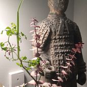 Mi proyecto del curso: Ikebana: arreglos florales para principiantes. Interior Design, Decoration, Interior Decoration, Floral, and Plant Design project by Lucia Manis - 04.01.2024