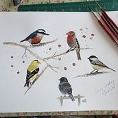 Spring Symphony - Junco's Choir - course project Bird Illustrations with Sarah Stokes. Projekt z dziedziny Malowanie akwarelą użytkownika Gina - 02.04.2024
