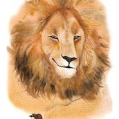 Illustration of a legend. Un progetto di Illustrazione tradizionale, Illustrazione infantile, Illustrazione con inchiostro, Pittura ad acquerello e Illustrazione naturalistica di Mariana Hlubiňáková - 01.04.2023