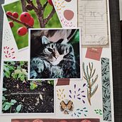 Mijn project van de cursus: Creatieve loopbaangroei: vind je artistieke pad. Creative Consulting, Communication, Management, Productivit, and Business project by agnetha.vandenreeck - 04.02.2024