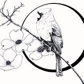 My project for course: Natural Illustration with Digital Painting. Traditional illustration, Drawing, Digital Illustration, Realistic Drawing, Digital Painting, and Naturalistic Illustration project by S. Teabo - 04.03.2024