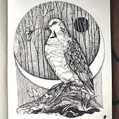 My project for course: Realistic Illustration of Birds with Imaginative Elements. Pencil Drawing, Drawing, Ink Illustration, and Naturalistic Illustration project by Olena Andrushchenko - 04.04.2024
