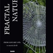 Mi proyecto del curso: Principios básicos de diseño gráfico. Un proyecto de Diseño, Br, ing e Identidad, Diseño gráfico, Tipografía y Diseño de logotipos de rolando_salvarez10 - 05.04.2024