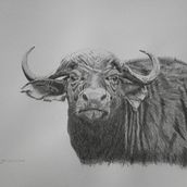 Beasts. Realistic Drawing project by Mitchell Kelly - 04.04.2024