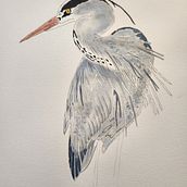 Crane. Pintura projeto de Judith Umlauf - 05.04.2024