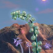 My project for course: 3D Animation: Create a Plant Scene in Cinema 4D. Motion Graphics, 3D, Animation, Art Direction, 3D Animation, and 3D Modeling project by Eliana Patricia Gómez Rodríguez - 04.06.2024