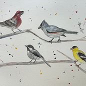 My project for course: Artistic Watercolor Techniques for Illustrating Birds. Traditional illustration, Watercolor Painting, Realistic Drawing, and Naturalistic Illustration project by Lesa Crisp - 04.04.2024