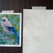 Mi proyecto del curso: Acuarela artística para ilustración de aves. Un progetto di Illustrazione tradizionale, Pittura ad acquerello, Disegno realistico e Illustrazione naturalistica di Liane Heraldin Rodriguez Daza - 07.04.2024