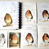Meu projeto do curso: Aquarela naturalista com expressão e personalidade. Ilustração tradicional, Pintura em aquarela e Ilustração naturalista projeto de Manoela Pietta Lorenzi - 06.04.2024