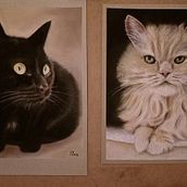 Gatitos a pastel. Un progetto di Belle arti di Noa López - 01.10.2024