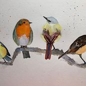 My project for course: Artistic Watercolor Techniques for Illustrating Birds . Een project van Traditionele illustratie, Aquarelschilderen, Realistische tekening y Naturalistische illustratie van karen_beresford - 07.04.2024