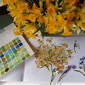 Mon projet du cours : Carnet de croquis botanique : une approche méditative. Ilustração tradicional, Esboçado, Desenho, Pintura em aquarela, e Sketchbook projeto de jacqueline_mugnier - 08.04.2024
