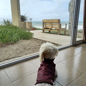 Mi proyecto del curso: Gimnasio de escritura: de la hoja en blanco a la práctica cotidiana . Scriere, Creativitate, Stor, telling, Narrativ și Scriere creativă de Lucila Oyhenart - 04.10.2024