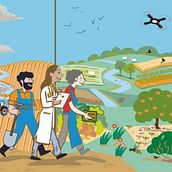 Transición agroecológica. Creative Consulting, Stor, telling, and Communication project by brenmz9320 - 04.10.2024