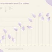 My project for course: Data Visualization and Information Design: Create a Visual Model. Infographics project by togotugce - 04.10.2024