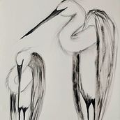 My project for course: Animal Illustration with Charcoal and Ink . % jennifercossar tarafından hazırlanan Güzel sanatlar, Çizim, Mürekkep İllüstras, onu, Doğalcı İllüstras, Ve on projesi - 04.12.2024