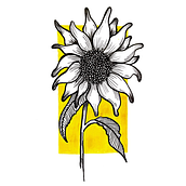 My project for course: Illustrated Life Journal: A Daily Mindful Practice. Un progetto di Belle arti, Bozzetti, Creatività, Disegno e Sketchbook di Ira - 13.04.2024