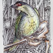 My project for course: Naturalist Illustration with Ballpoint Pen . Traditional illustration, Drawing, Realistic Drawing, and Naturalistic Illustration project by jumamurphy - 04.13.2024