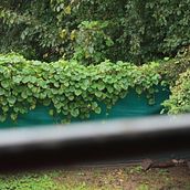 Día gris. Un progetto di Fotografia di Agustina Laguia - 14.04.2024