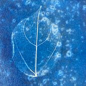 Il mio progetto del corso: Cianotipia: tecnica di stampa con la luce. Arts, Crafts, Fine Arts, Printing, DIY, and Film Photograph project by Anna Caberlon - 04.14.2024