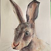Mi proyecto del curso: Técnicas experimentales de acuarela para principiantes. Un projet de Illustration traditionnelle, Beaux Arts, Aquarelle et Illustration naturaliste de Diana Suárez Ramírez - 14.04.2024