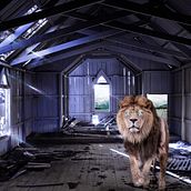 Mi proyecto del curso: Secretos del fotomontaje y el retoque creativo Ein Projekt aus dem Bereich Fotografie, Bildbearbeitung, VFX, Fotoretuschierung, Artistische Fotografie, Fotografische Komposition und Fotomontage von jesus santacruz mora - 15.04.2024