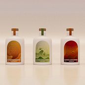 Chivas Rebrand. Br, ing, Identit, Packaging, Design, and 3D project by evamolinaf - 04.15.2024