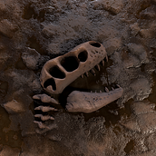 Styliced T-Rex Bones, 100% Procedural, Final Renders!. Design, 3D Design, and 3D project by Abdiel Adames - 03.30.2024
