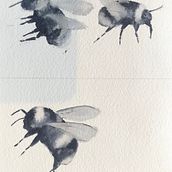Bumble bees. Traditional illustration project by Sylvia Thorp - 04.17.2024