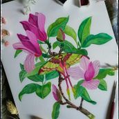 Mein Abschlussprojekt für den Kurs: Naturillustrationen mit Aquarell und Gouache. Fine Arts, Painting, Watercolor Painting, Botanical Illustration, Naturalistic Illustration, and Gouache Painting project by ydrinka - 04.17.2024