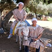 Mi proyecto del curso: Incrementar ventas de tours grupales. Un proyecto de Marketing Digital, Estrategia de marca						, Gestión y productividad							 de Elena Migdal - 18.04.2024