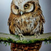 Meu projeto do curso: Ilustração naturalista de aves com aquarela. Un proyecto de Ilustración tradicional, Pintura a la acuarela, Dibujo realista e Ilustración naturalista				 de Bel Lira - 24.03.2024
