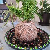 Mi proyecto del curso: Kokedamas: crea macetas naturales de musgo. Arts, Crafts, Interior Design, L, scape Architecture, Decoration, DIY, Floral, and Plant Design project by Bárbara Serrano - 04.18.2024