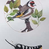Mein Abschlussprojekt für den Kurs: Filigrane Aquarellmalerei mit Metallic-Akzenten. Traditional illustration, Painting, Watercolor Painting, Botanical Illustration, Naturalistic Illustration, and Decorative Painting project by ullisteffensen_us - 04.18.2024