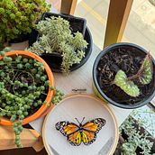 Mi proyecto del curso: Técnicas de bordado realista . Ilustrasi tradisional, Bordir, Dan Desain Tekstil proyek oleh Luza Ramirez - 04.18.2024