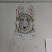 Mi proyecto del curso: Retratos de Mascotas en Lápices de Colores. Traditional illustration, and Naturalistic Illustration project by Cristobal Tavera Parra - 04.17.2024