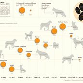 My project for course: Data Visualization and Information Design: Create a Visual Model. Un progetto di Design dell’informazione, Design interattivo e Infografica di Kat G Opitz - 21.04.2024
