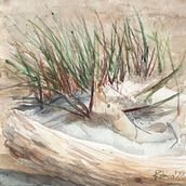 Sandy beach. Traditional illustration, and Watercolor Painting project by Maja Kubica - 04.21.2024