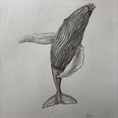 Mi proyecto del curso: Dibujo naturalista de animales con grafito. Un progetto di Illustrazione tradizionale, Disegno a matita, Disegno e Illustrazione naturalistica di Romina Montecchia - 21.04.2024