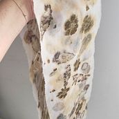 Il mio progetto del corso: Stampa botanica su tessuto e carta. Un progetto di Artigianato, Fashion design, DIY, Tintura tessile, Stampa tessile e Textile Design di Roberto Brizzi - 21.04.2024