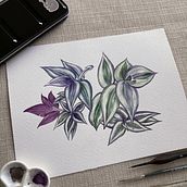 My project for course: Botanical Illustration with Watercolors. Traditional illustration, Fine Arts, Painting, Drawing, Watercolor Painting, and Botanical Illustration project by daniwu - 04.20.2024