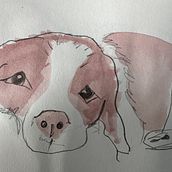 My project for course: Sketchbook Exercises for Artistic Growth Ein Projekt aus dem Bereich Traditionelle Illustration, Bildende Künste, Skizzenentwurf, Zeichnung und Sketchbook von Paula Wood - 22.04.2024