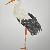 Mein Abschlussprojekt für den Kurs: Naturalistische Aquarelle mit Ausdruck und Charakter. Traditional illustration, Watercolor Painting, and Naturalistic Illustration project by a. kai. - 04.23.2024