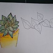 My project for course: Botanical Sketchbooking: A Meditative Approach. Ilustração tradicional, Esboçado, Desenho, Pintura em aquarela, Ilustração botânica, e Sketchbook projeto de Peca C. - 06.11.2024